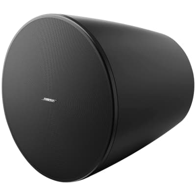 Bose Professional | DesignMax DM10P-SUB Black (l'unité)