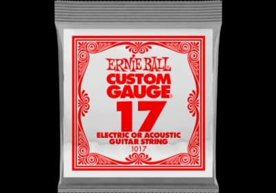 Ernie Ball | Plain Steel Single String .017 | À l'unité