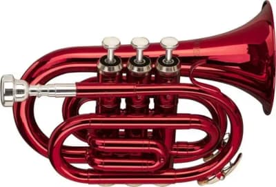 Stagg | WS-TR247S | Rouge