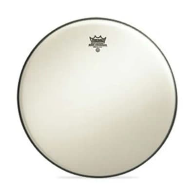 Remo | Ambassador Suede | 8''