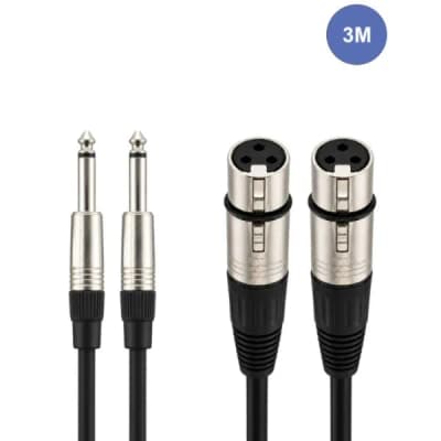 Power Acoustics | CAB 2113 | 2× XLR femelle / 2× jack 6,35 mono 3 m