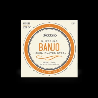 D'Addario | EJ61 | Nickel