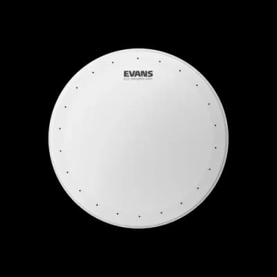 Evans | Genera Dry 14" | Sablée