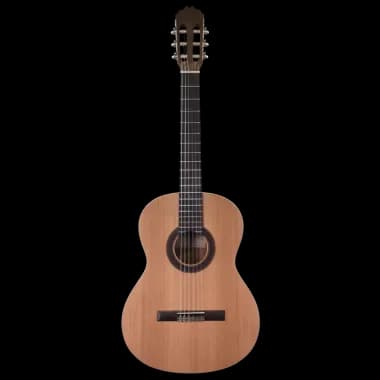Prodipe Guitars | Recital 200