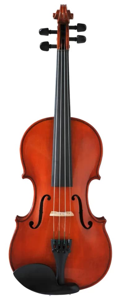 GEWA Strings | Chevilles Violon Ébène | 1/4 Stark