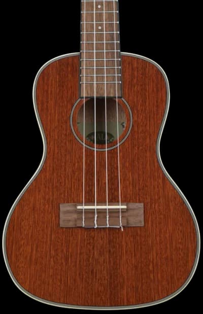 Kala | KA-GUIDANCE-C | Mahogany