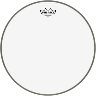 Remo | Ambassador Clear | 14"
