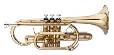 Stagg | WS-CR215S | Si bémol avec étui souple