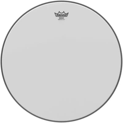 Remo | 11" Low Collar Banjo Head | Coated