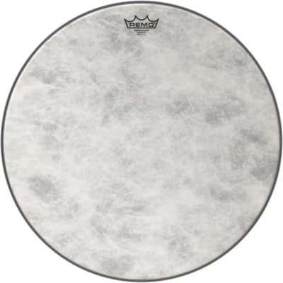 Remo | Fiberskyn 3 Ambassador 20"