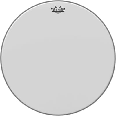 Remo | Ambassador X Sablée | 20"