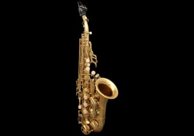 SML Paris | SC620 | Soprano Courbe Verni