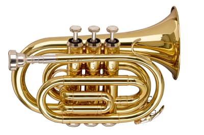 Stagg | WS-TR245S | Trompette de poche Sib ML laiton vernis